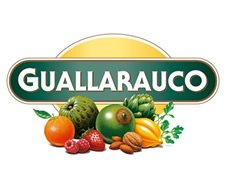 GUALLARAUCO
