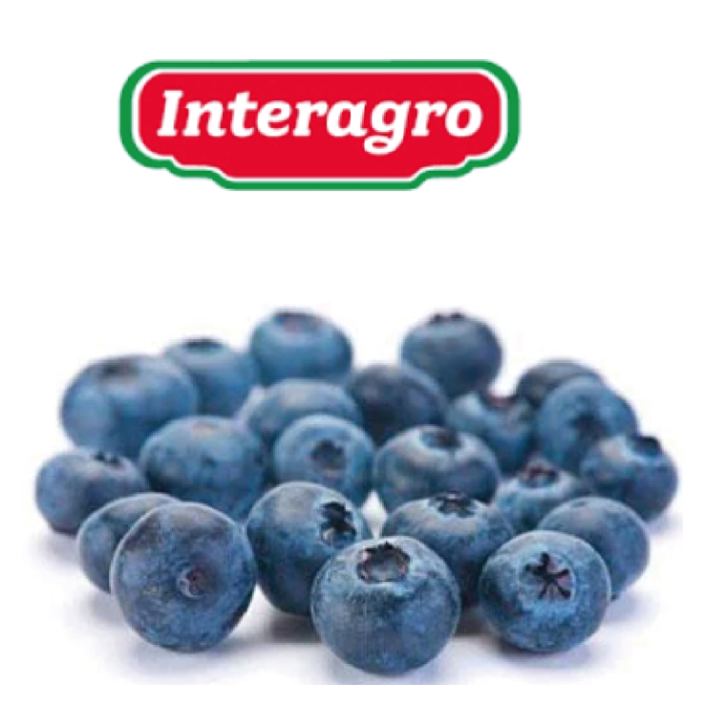 ARANDANOS CONGELADOS INTERAGRO K